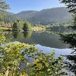 Love hotel Au Plaisir Vosgien *