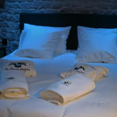 Au Plaisir Vosgien Love hotel