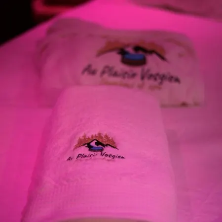 Au Plaisir Vosgien Love hotel *
