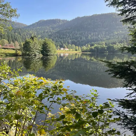 Hodinový hotel Au Plaisir Vosgien *
