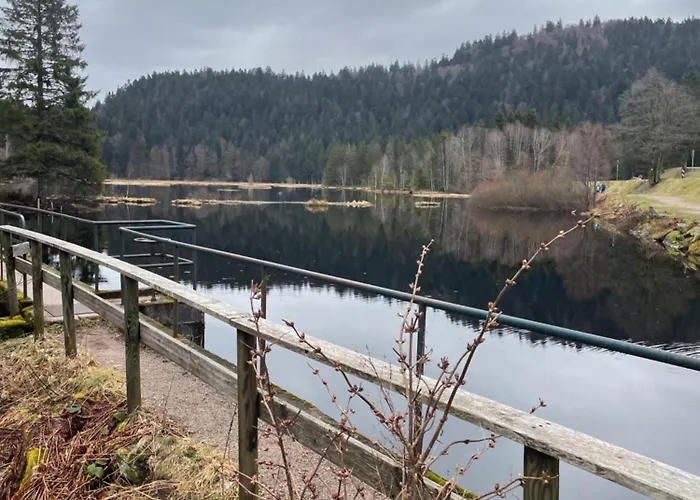 Au Plaisir Vosgien 情趣酒店 Raon-lʼÉtape