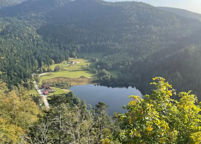 情趣酒店 Au Plaisir Vosgien *