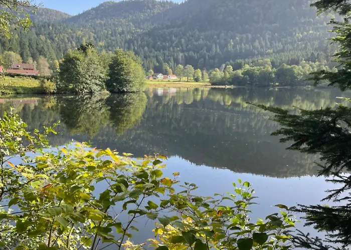 Yetişkin Oteli Au Plaisir Vosgien *