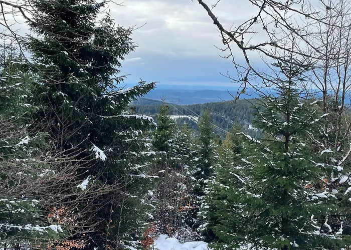 Au Plaisir Vosgien Yetişkin Oteli