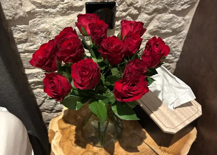 Au Plaisir Vosgien Yetişkin Oteli *